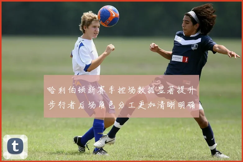 哈利伯顿新赛季控场数据显著提升步行者后场角色分工更加清晰明确
